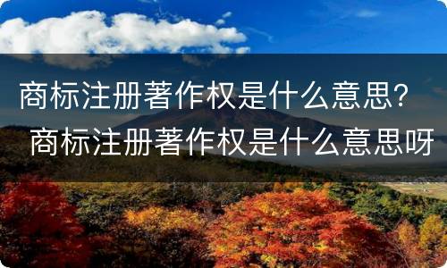 商标注册著作权是什么意思？ 商标注册著作权是什么意思呀