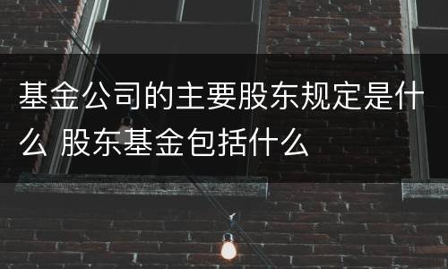 基金公司的主要股东规定是什么 股东基金包括什么