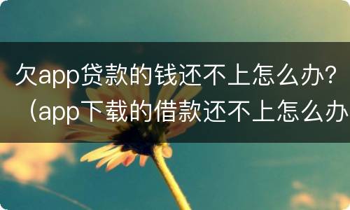 欠app贷款的钱还不上怎么办？（app下载的借款还不上怎么办）