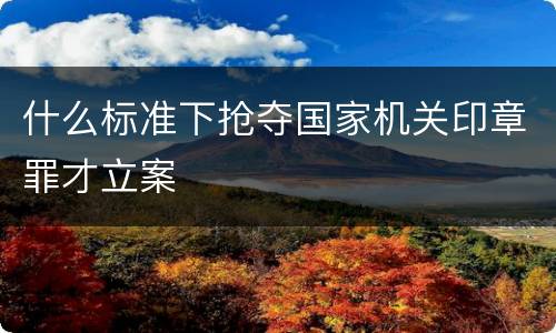 什么标准下抢夺国家机关印章罪才立案