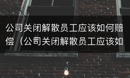 公司关闭解散员工应该如何赔偿（公司关闭解散员工应该如何赔偿社保）
