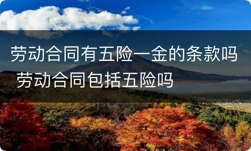 劳动合同有五险一金的条款吗 劳动合同包括五险吗