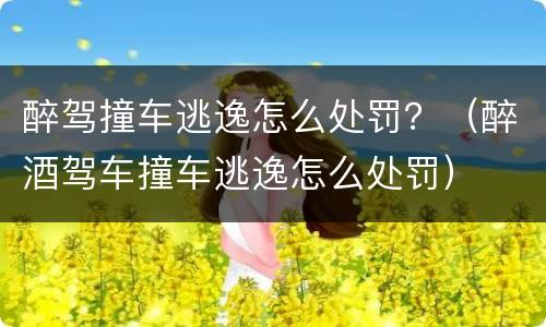 醉驾撞车逃逸怎么处罚？（醉酒驾车撞车逃逸怎么处罚）