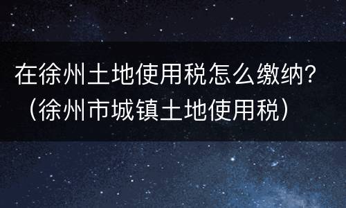 在徐州土地使用税怎么缴纳？（徐州市城镇土地使用税）