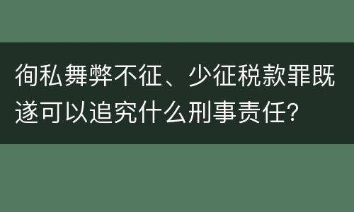 徇私舞弊不征、少征税款罪既遂可以追究什么刑事责任？