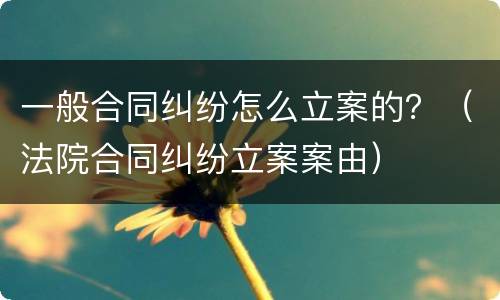 一般合同纠纷怎么立案的？（法院合同纠纷立案案由）
