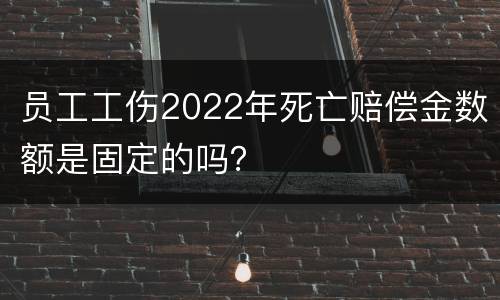 员工工伤2022年死亡赔偿金数额是固定的吗？