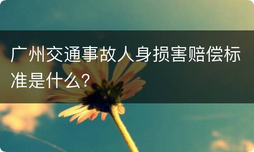 广州交通事故人身损害赔偿标准是什么？