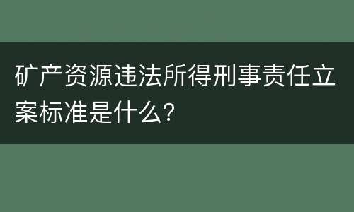 矿产资源违法所得刑事责任立案标准是什么？