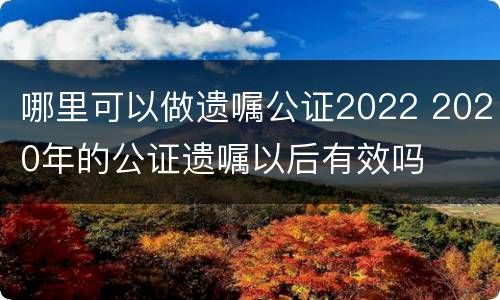 哪里可以做遗嘱公证2022 2020年的公证遗嘱以后有效吗