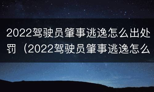 2022驾驶员肇事逃逸怎么出处罚（2022驾驶员肇事逃逸怎么出处罚单）