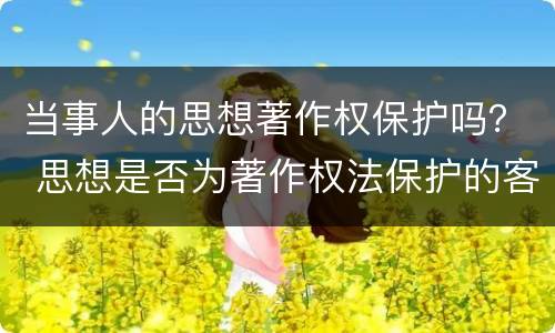 当事人的思想著作权保护吗？ 思想是否为著作权法保护的客体