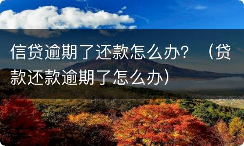 信贷逾期了还款怎么办？（贷款还款逾期了怎么办）