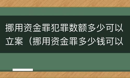 挪用资金罪犯罪数额多少可以立案（挪用资金罪多少钱可以立案?）