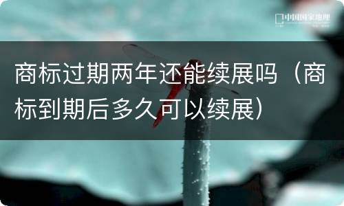 商标过期两年还能续展吗（商标到期后多久可以续展）