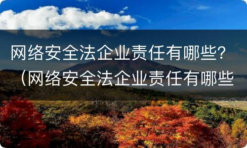 网络安全法企业责任有哪些？（网络安全法企业责任有哪些规定）