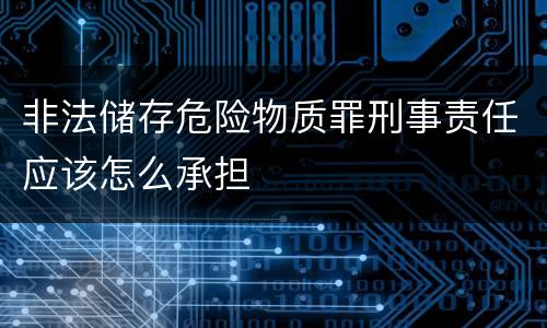 非法储存危险物质罪刑事责任应该怎么承担