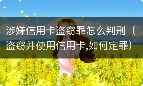 涉嫌信用卡盗窃罪怎么判刑（盗窃并使用信用卡,如何定罪）