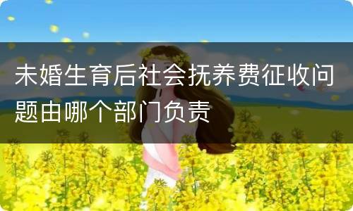 未婚生育后社会抚养费征收问题由哪个部门负责