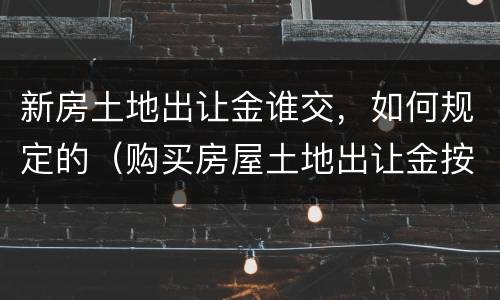 新房土地出让金谁交，如何规定的（购买房屋土地出让金按照什么标准收）