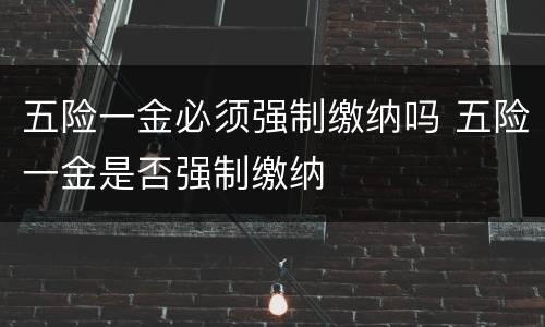 五险一金必须强制缴纳吗 五险一金是否强制缴纳