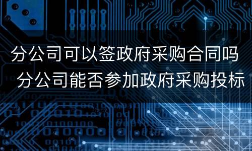 分公司可以签政府采购合同吗 分公司能否参加政府采购投标