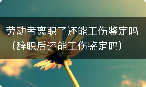劳动者离职了还能工伤鉴定吗（辞职后还能工伤鉴定吗）