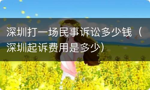 深圳打一场民事诉讼多少钱（深圳起诉费用是多少）