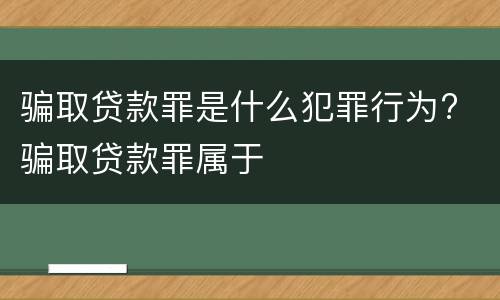 骗取贷款罪是什么犯罪行为? 骗取贷款罪属于