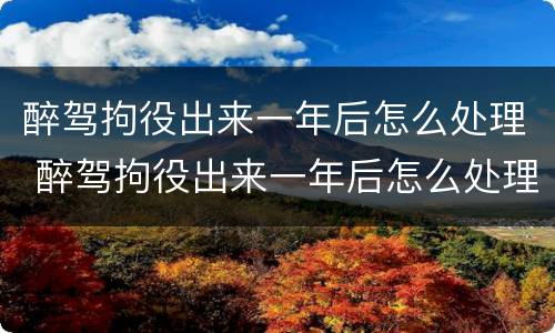 醉驾拘役出来一年后怎么处理 醉驾拘役出来一年后怎么处理呢