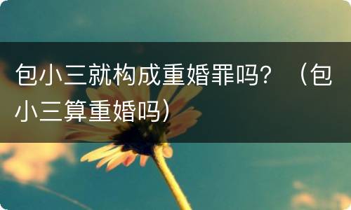 包小三就构成重婚罪吗？（包小三算重婚吗）