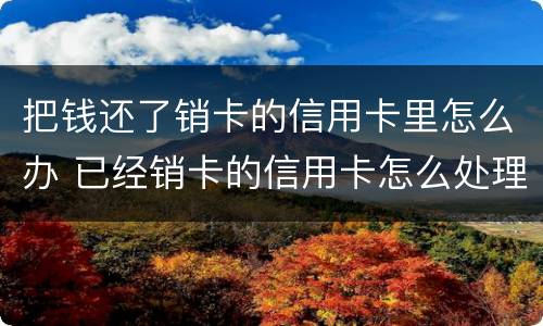 把钱还了销卡的信用卡里怎么办 已经销卡的信用卡怎么处理