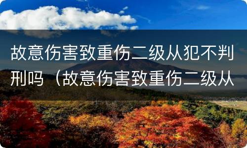 故意伤害致重伤二级从犯不判刑吗（故意伤害致重伤二级从犯不判刑吗判几年）