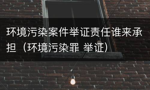 环境污染案件举证责任谁来承担（环境污染罪 举证）
