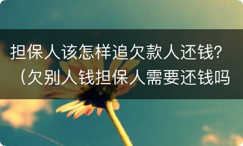 担保人该怎样追欠款人还钱？（欠别人钱担保人需要还钱吗）