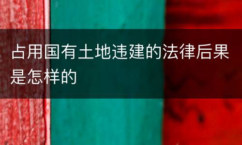 占用国有土地违建的法律后果是怎样的