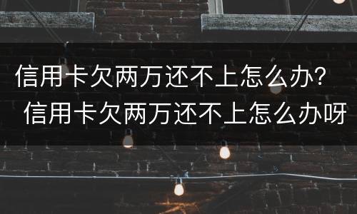 信用卡欠两万还不上怎么办？ 信用卡欠两万还不上怎么办呀