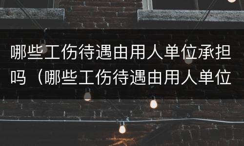 哪些工伤待遇由用人单位承担吗（哪些工伤待遇由用人单位支付）