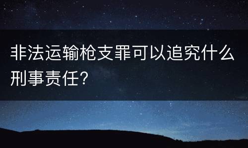 非法运输枪支罪可以追究什么刑事责任?