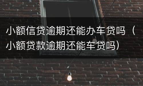 小额信贷逾期还能办车贷吗（小额贷款逾期还能车贷吗）