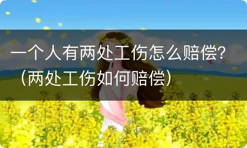 一个人有两处工伤怎么赔偿？（两处工伤如何赔偿）