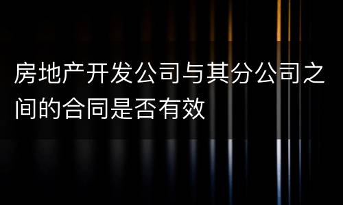 房地产开发公司与其分公司之间的合同是否有效