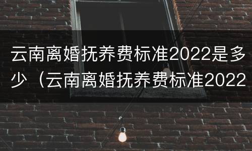 云南离婚抚养费标准2022是多少（云南离婚抚养费标准2022是多少呢）
