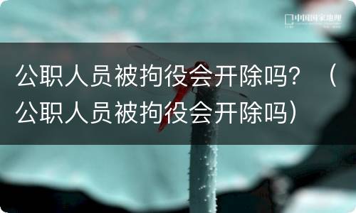 公职人员被拘役会开除吗？（公职人员被拘役会开除吗）