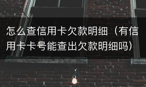 怎么查信用卡欠款明细（有信用卡卡号能查出欠款明细吗）