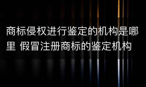 商标侵权进行鉴定的机构是哪里 假冒注册商标的鉴定机构