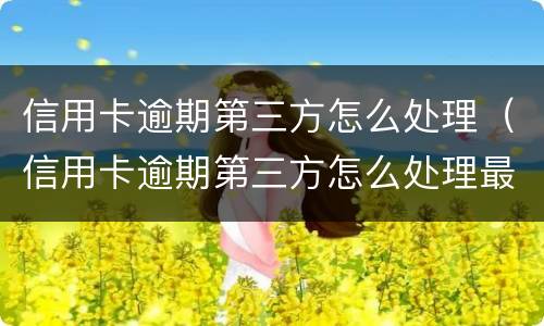 信用卡逾期第三方怎么处理（信用卡逾期第三方怎么处理最好）