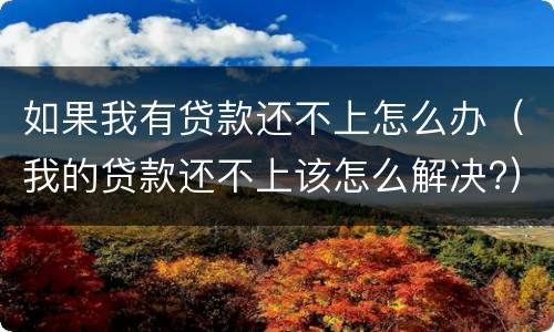 如果我有贷款还不上怎么办（我的贷款还不上该怎么解决?）