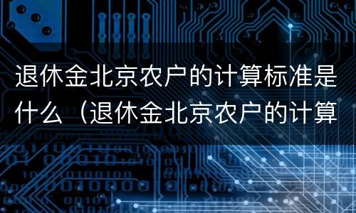 退休金北京农户的计算标准是什么（退休金北京农户的计算标准是什么意思）