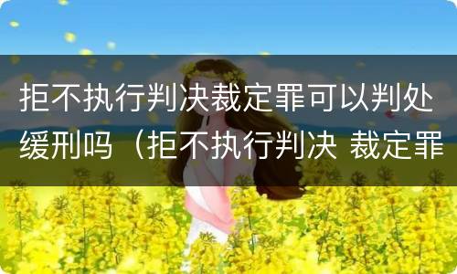 拒不执行判决裁定罪可以判处缓刑吗（拒不执行判决 裁定罪）